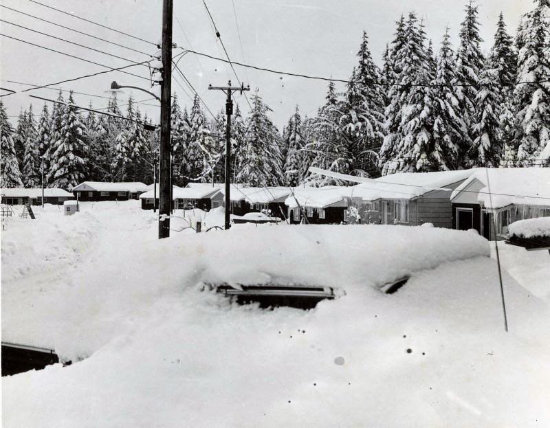 Winter in Housing Area