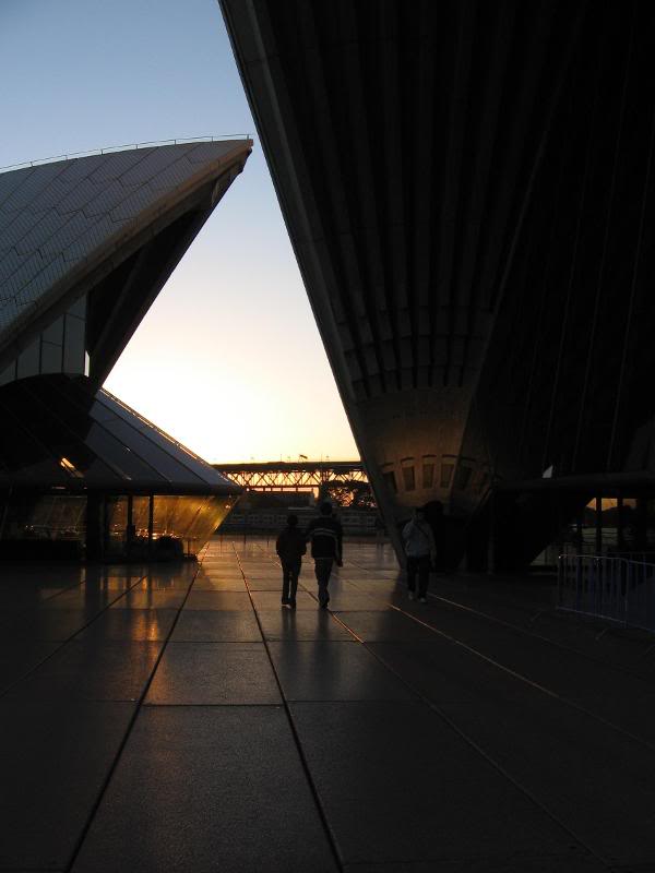 Opera House in the evening