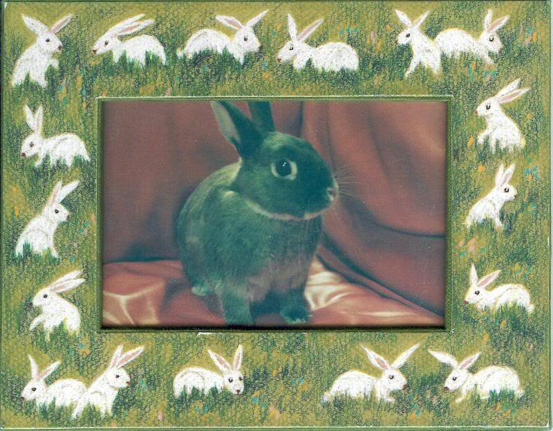 Cinny patiently waiting for me to stop taking pictures ...