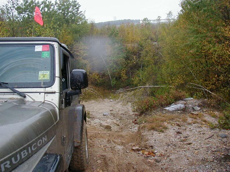 Billy at the top of the small hilll, he walked the dog ...