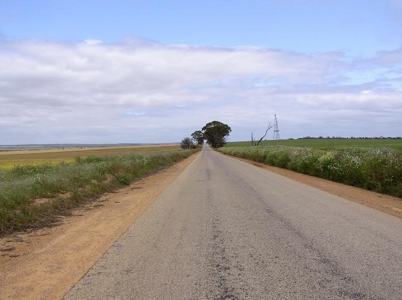Road through the wheatbelt