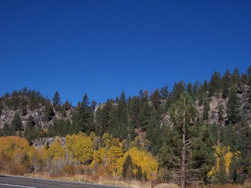 Hope Valley outside of Sorenson's Resort