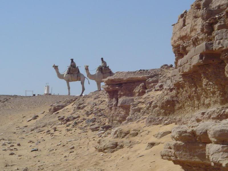 Guards in Camels, Aswan
