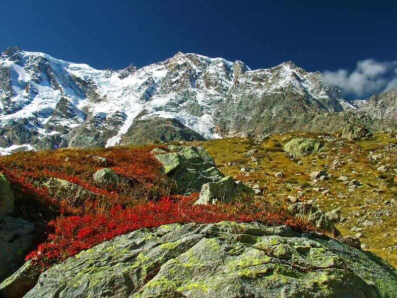 OUR ALPS - Hiking with us under Monte Rosa tops
