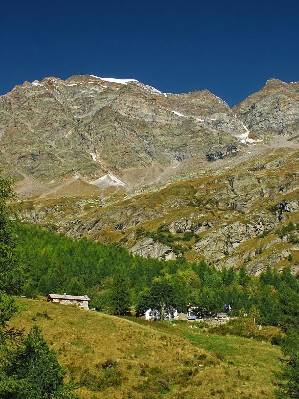 003 - Houses in the green