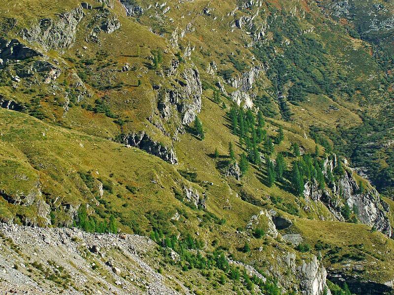 006 - Looking at the valley