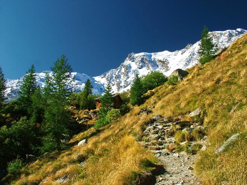 007 - First meters of footpath