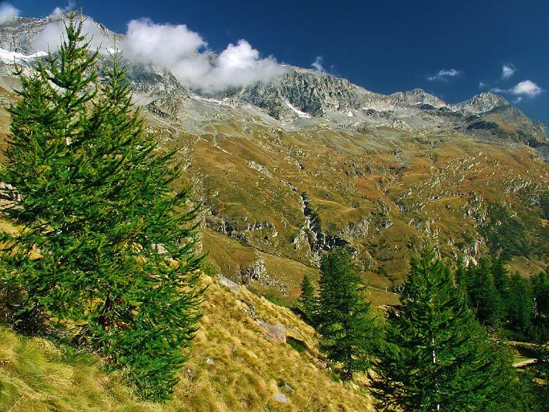 008 - A fantastic landscape