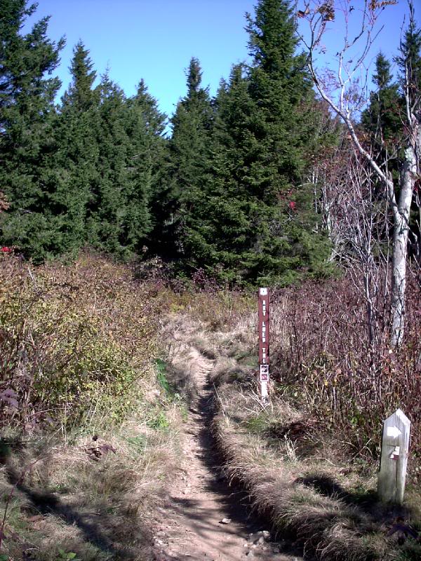 02. Art Loeb Trailhead - 5900'