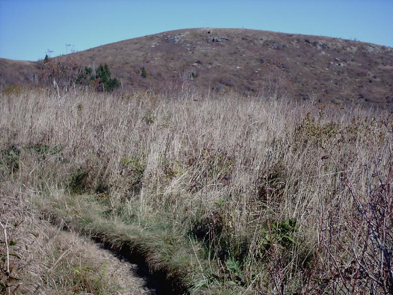 04. Heading up Black Balsam - 5940'