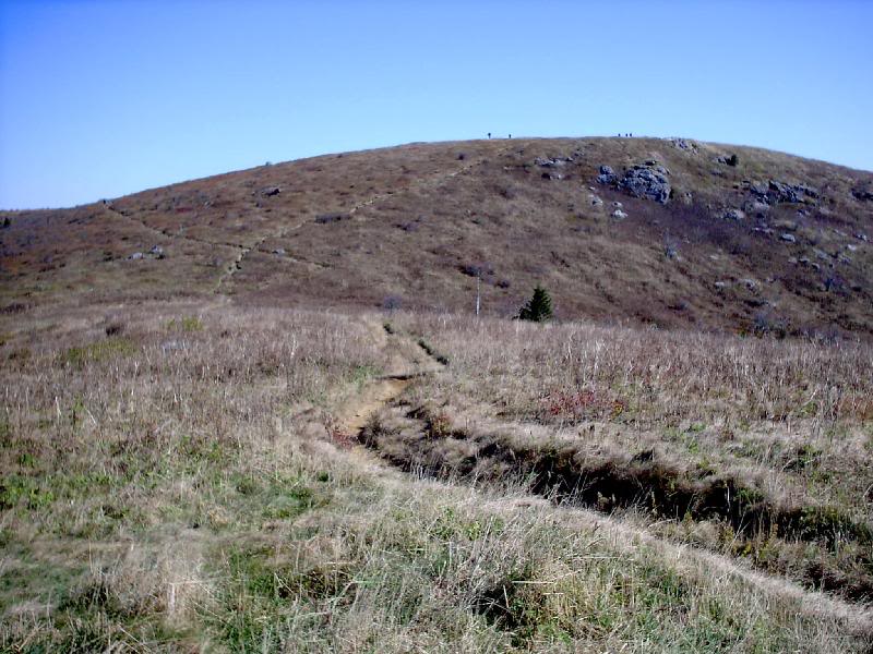 07. Black Balsam Summit Cone - 6040'