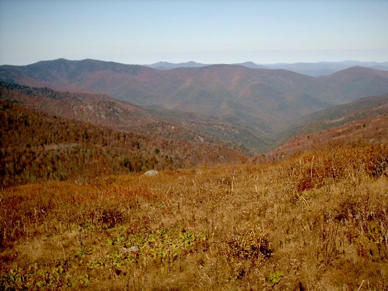 09. Middle Prong Wilderness - 6120'