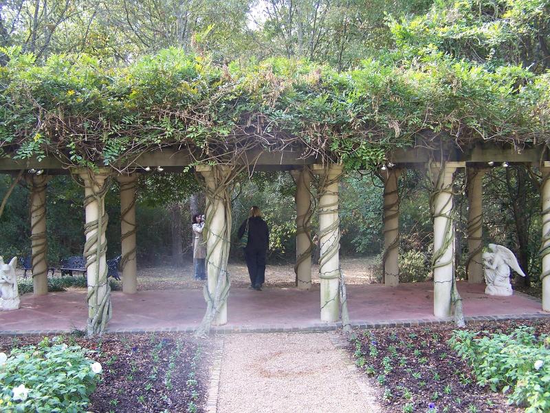 Beautiful Wisteria Pavilion for Weddings