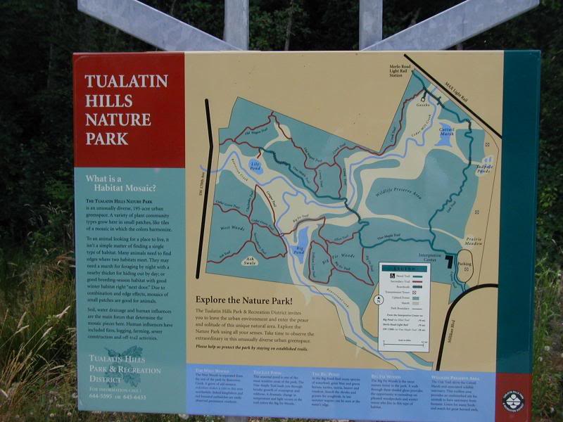 An Urban Forest - Tualatin Hills Nature Park - Beaverton, Oregon, USA