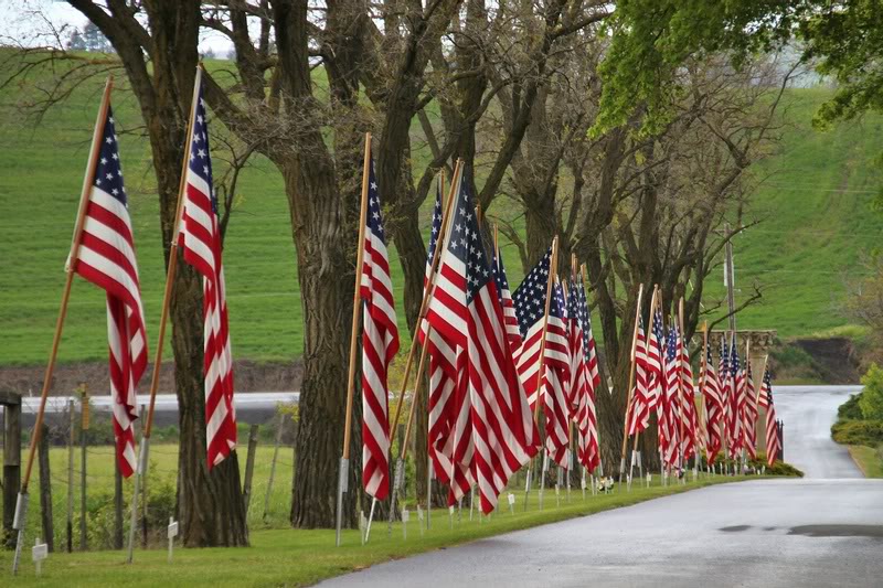 Flags Along The Entrance To Colfax Cemetary in Washingt...