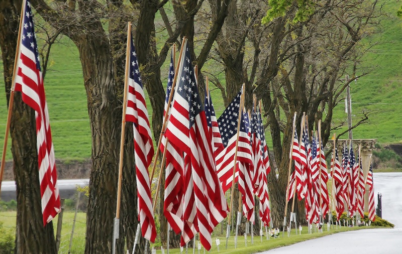 Flags Belonging To Veterans On Memorial Day