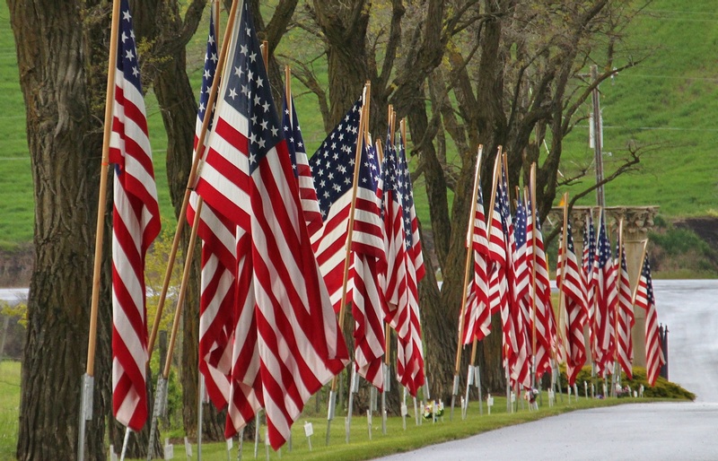 Veteran American Flags