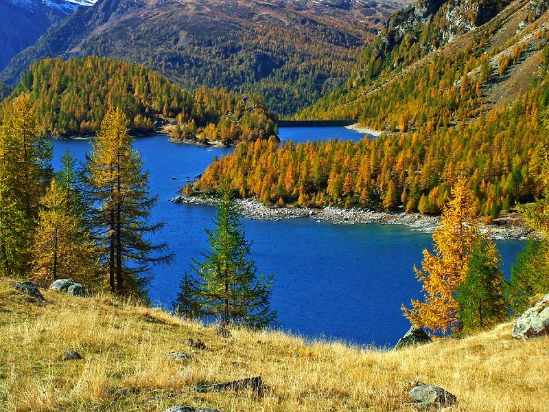 MY ALPS - Alpe Devero autumnal colors