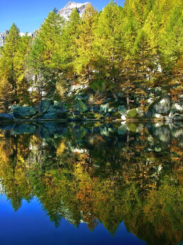 003 - Witch Lake reflections