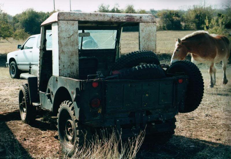 Everyone says I should have took the horse.....