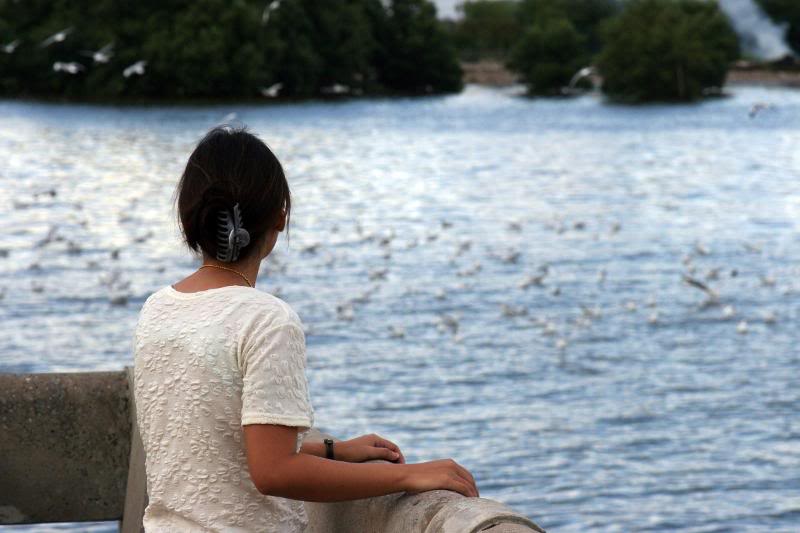 Girl Watching Seagulls, Bang Poo, Samut Prakarn Thailan...