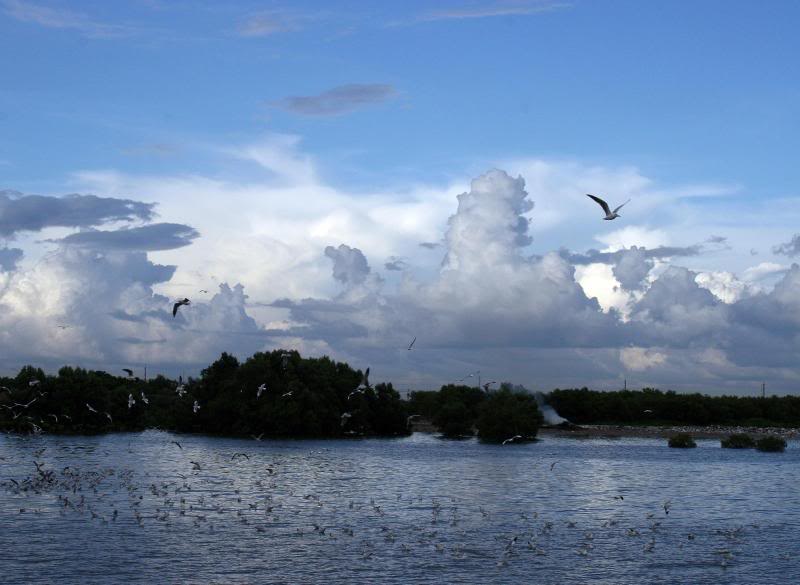 Gulf of Thailand, Clouds and Gulls - Bang Poo Seaside R...