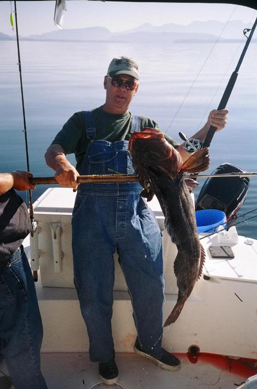 Ling near Fern point with Harry