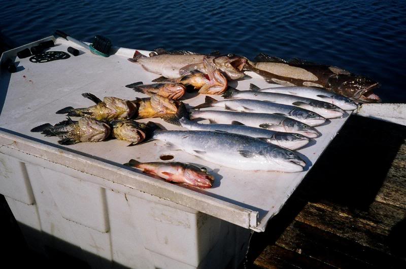 day 2 and first day with Matt