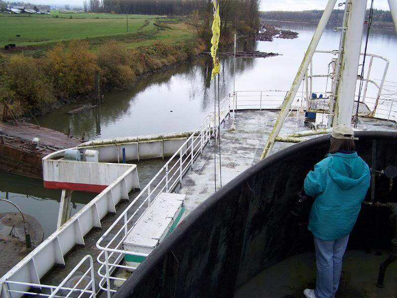 Looking up the Fraser river from the funnel of the Sidn...