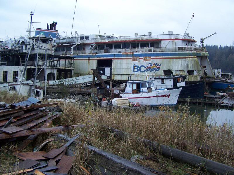 Queen of Sidney (background)