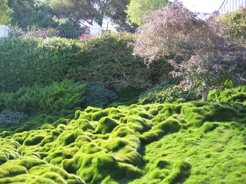 08 - The Baha'i Gardens in Haifa (Israel): the Shrine o...