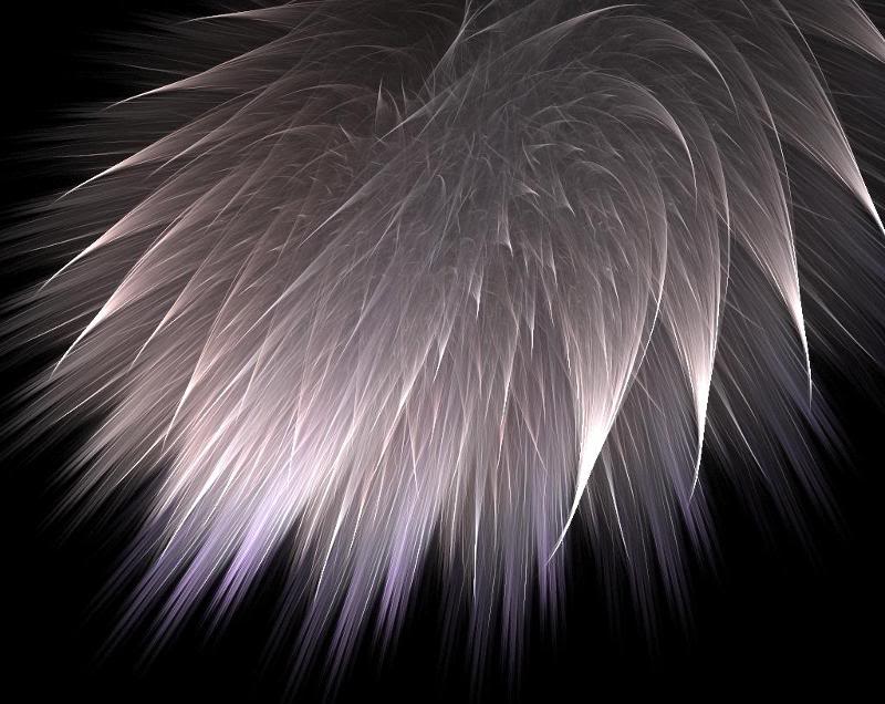 Apophysis-05013 0-283 1