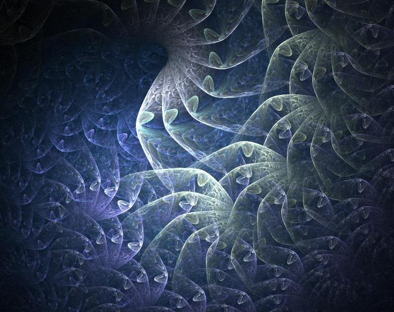 Apophysis-05013 0-391 2