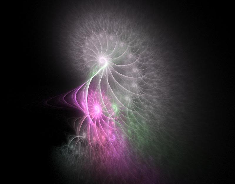 Apophysis-05022 2-53 5