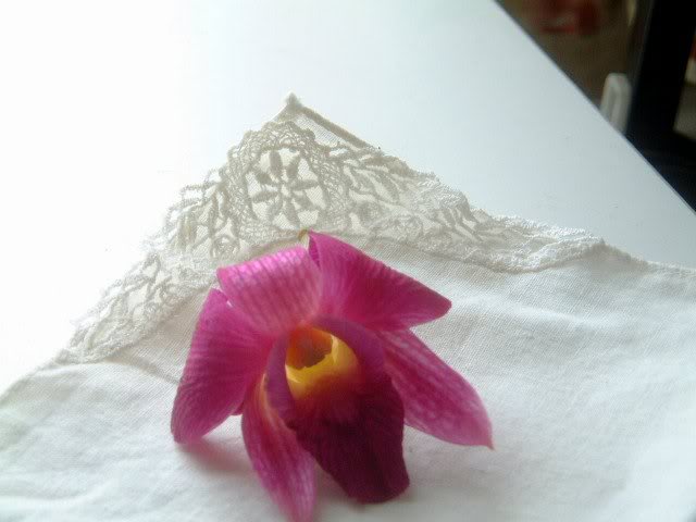 orchid on lace