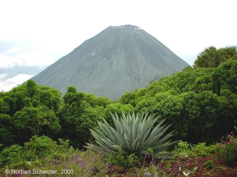 Volcan de Izalco