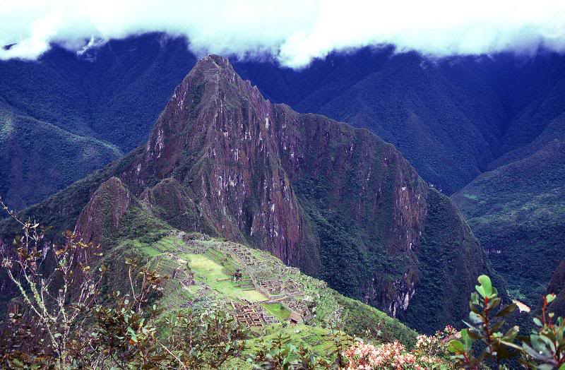 Peru - Machu Picchu - Cloud Forest