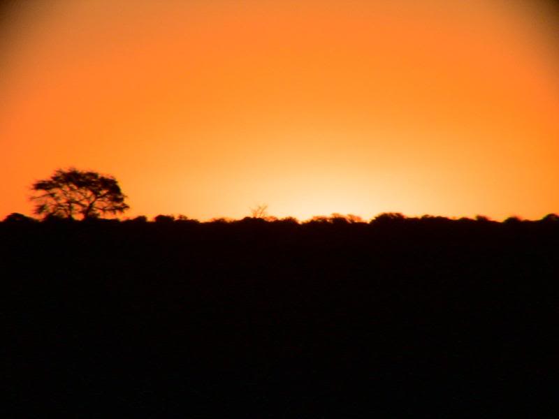 Botswana Sunset
