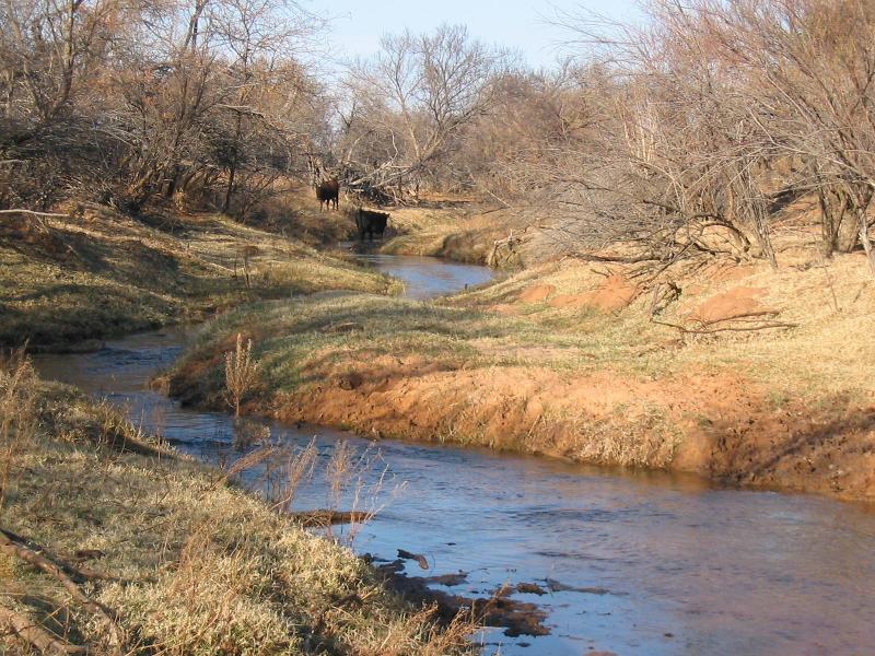 Buffalo Creek - Western Oklahoma