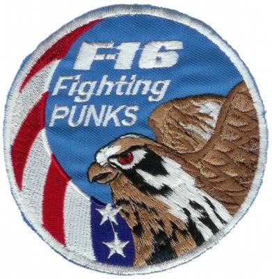 USAF fighting punks