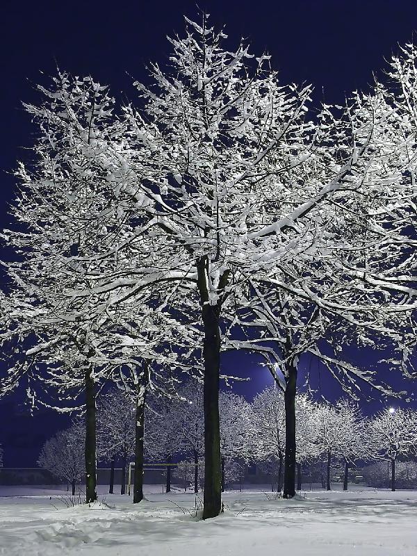 002 - Bewitched laces