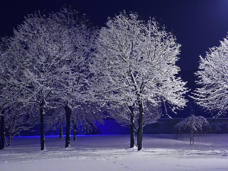 003 - A silent night