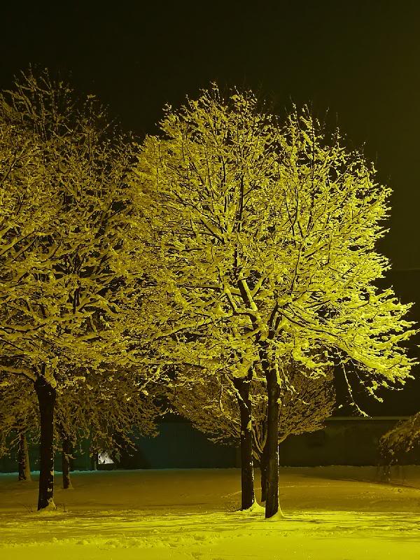 005 - Frozen friends (using a different WB)