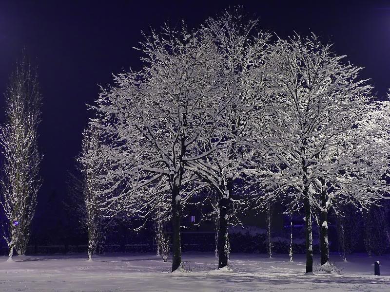 006 - The beauty is also in a little park