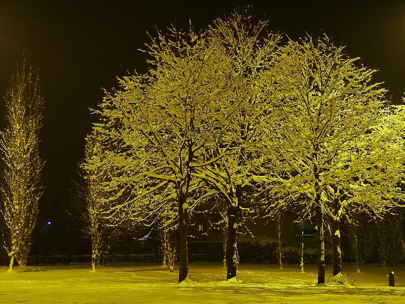 007 - The beauty is also in a little park (using a di...