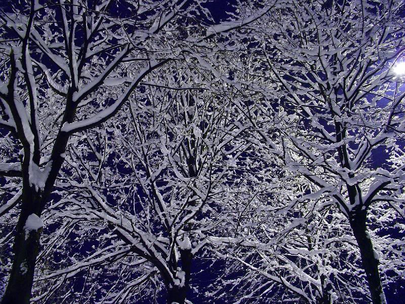 008 - Fairy interlacements