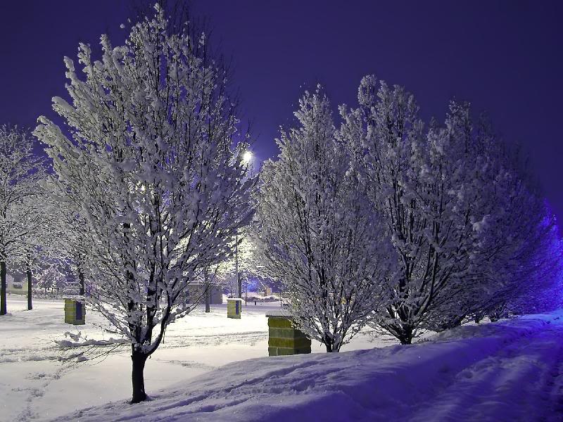 010 - Play with lights