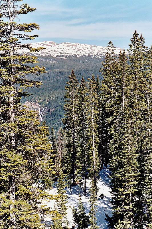 Snowy scene, Coal Bank Pass