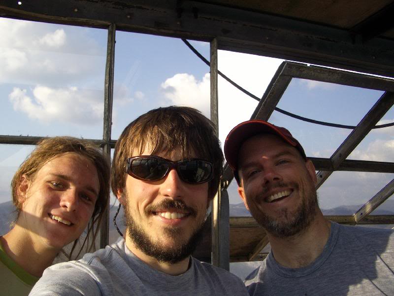 05-Dragonfly,Ti mber,Trunks in Shuckstack Tower