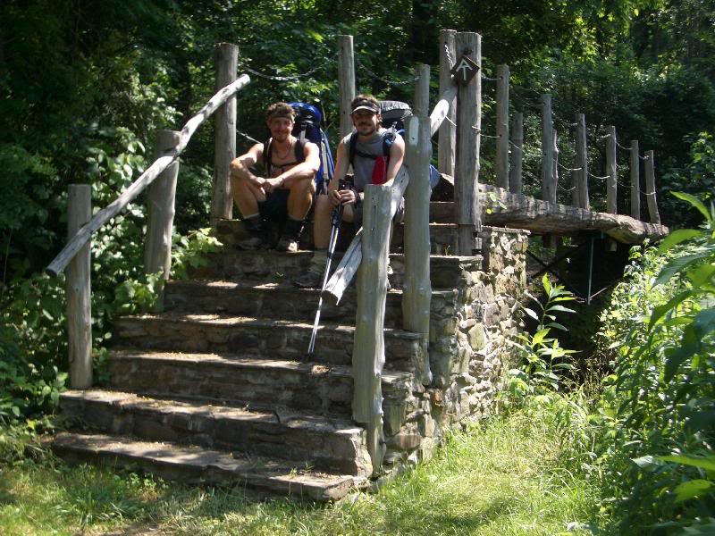 06-Goldfish and Timber on a bridge